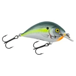 Bagley Pro Sunny B #7 3" 1/2 Oz 12 Bagley Pro Sunny B #7 3" 1/2 Oz -Fish and Save bagley pro sunny b 7 3 12 oz 218962