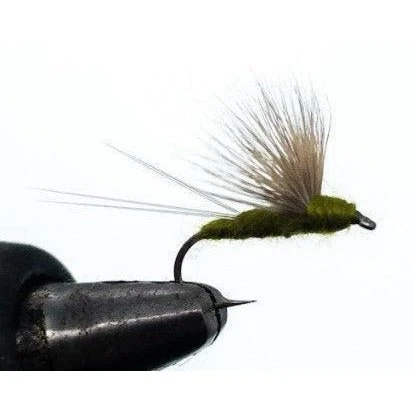 Freestone Fly Compara Dun Olive Size 14 Qty 12 3 Freestone Fly Compara Dun Olive Size 14 Qty 12
