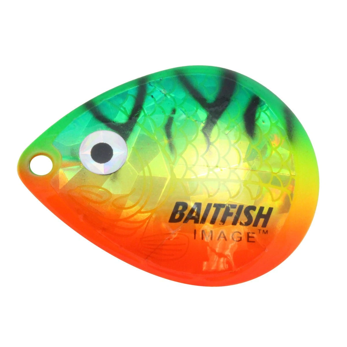 Northland Tackle Baitfish Image Colorado Blades 11 Northland Tackle Baitfish Image Colorado Blades - Image 9