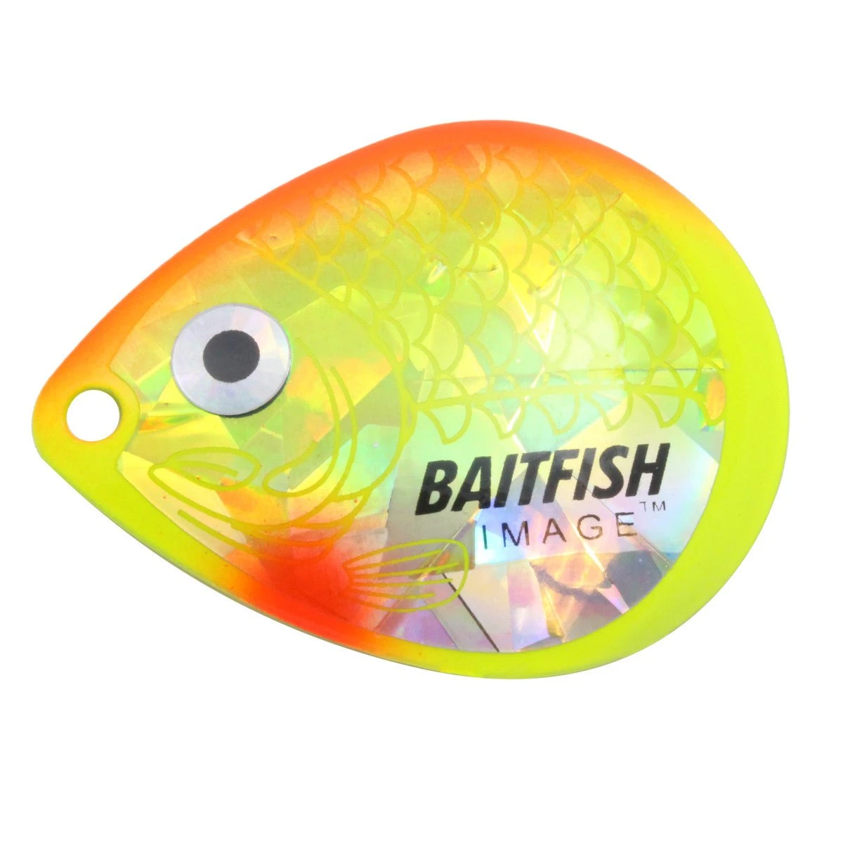 Northland Tackle Baitfish Image Colorado Blades 10 Northland Tackle Baitfish Image Colorado Blades - Image 8