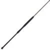 Penn Squadron III Surf Casting Rod 10' 2-Pc Medium