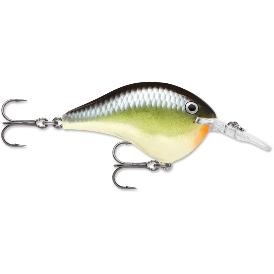 Rapala Balsa DT 08 3/8 Oz 2" 17 Rapala Balsa DT 08 3/8 Oz 2" - Image 15