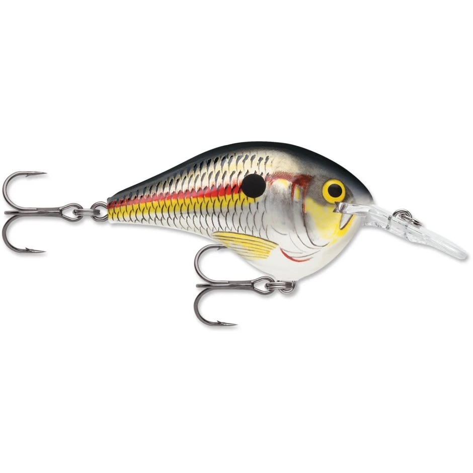 Rapala Balsa DT 08 3/8 Oz 2" 6 Rapala Balsa DT 08 3/8 Oz 2" - Image 4