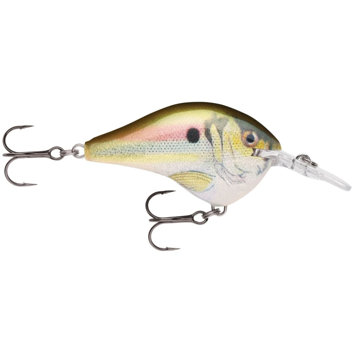 Rapala Balsa DT 08 3/8 Oz 2" 5 Rapala Balsa DT 08 3/8 Oz 2" - Image 3
