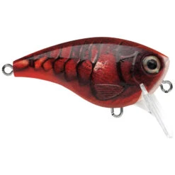RAPALA BALSA XTREME BX BRAT 2" 3/8 Oz -Fish and Save rapala balsa xtreme bx brat 2 38 oz 192012