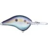 Rapala DT-10 Floating 2-1/4" 3/5 Oz 1 Rapala DT-10 Floating 2-1/4" 3/5 Oz -Fish and Save rapala dt 10 floating 2 14 35 oz 701026