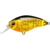 Yo-Zuri 3DR-X CRANK SR 2" 1/4 Oz 2 Yo-Zuri 3DR-X CRANK SR 2" 1/4 Oz -Fish and Save yo zuri 3dr x crank sr 2 14 ozcrankbaityo zuri756791548329prism gold blackfishandsave 844393