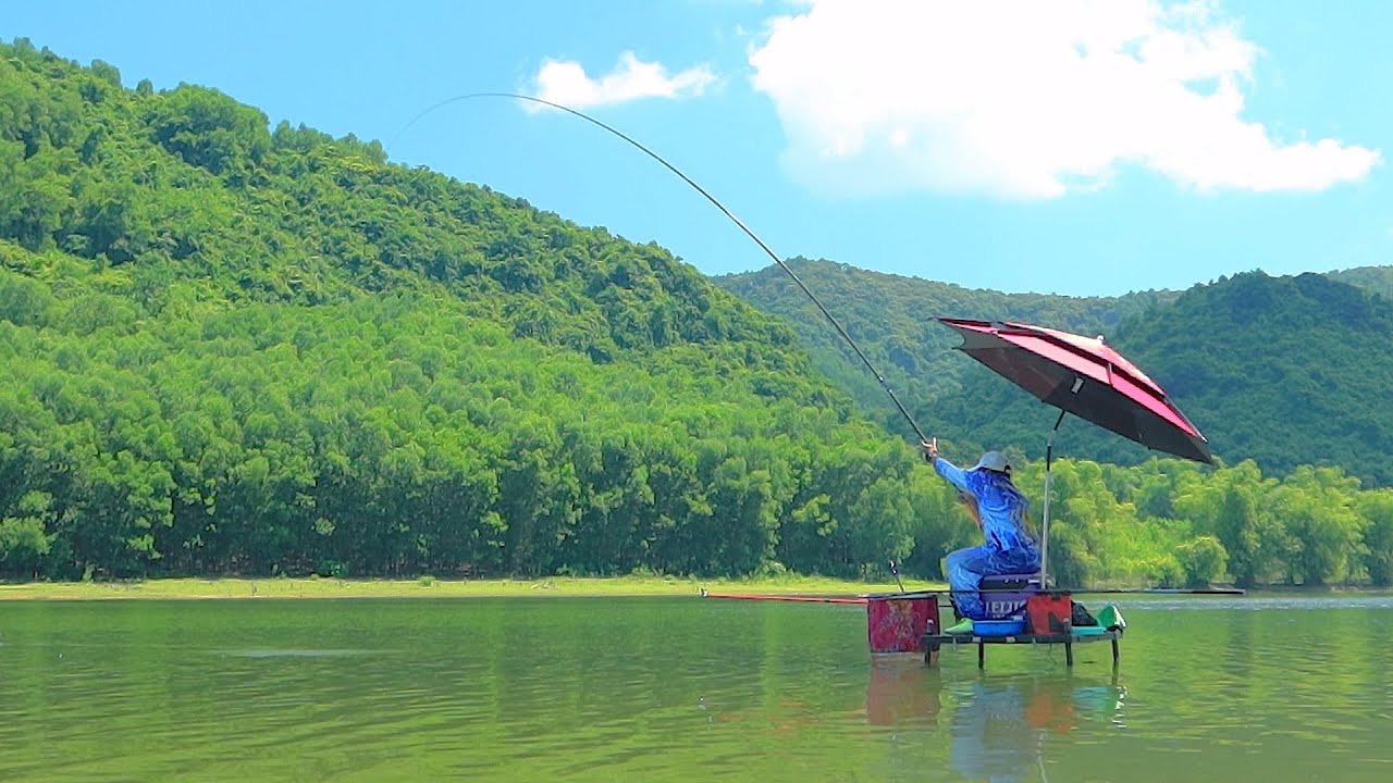 Fish and Save -Fish and Save